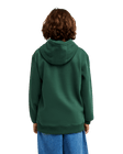 The Quiksilver Boys Boys Comp Logo Hoodie in Forest