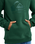 The Quiksilver Boys Boys Comp Logo Hoodie in Forest