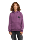 The Quiksilver Boys Boys Omni Logo Hoodie in Grape Jam