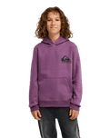 The Quiksilver Boys Boys Omni Logo Hoodie in Grape Jam