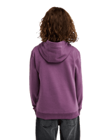 The Quiksilver Boys Boys Omni Logo Hoodie in Grape Jam