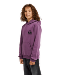 The Quiksilver Boys Boys Omni Logo Hoodie in Grape Jam