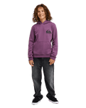 The Quiksilver Boys Boys Omni Logo Hoodie in Grape Jam