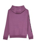 The Quiksilver Boys Boys Omni Logo Hoodie in Grape Jam