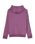 The Quiksilver Boys Boys Omni Logo Hoodie in Grape Jam