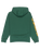 The Quiksilver Boys Boys Omni Logo Hoodie in Trekking Green