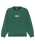 The Quiksilver Boys Boys Salt Water Graphic Sweatshirt in Trekking Green