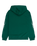 Boys Stretch Tribal Hoodie in Botanical Garden