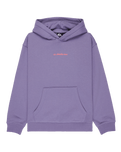 Boys Graphic Hero Hoodie in Daybreak