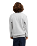 The Quiksilver Boys Boys Graphic Sweatshirt in Light Grey Heather