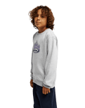 The Quiksilver Boys Boys Graphic Sweatshirt in Light Grey Heather