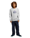 The Quiksilver Boys Boys Graphic Sweatshirt in Light Grey Heather