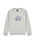 The Quiksilver Boys Boys Graphic Sweatshirt in Light Grey Heather