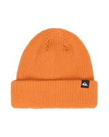The Quiksilver Boys Boys Performer Beanie in Jaffa Orange