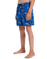 The Quiksilver Boys Boys Next Gen Volley Shorts in Estate Blue Roots