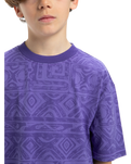 The Quiksilver Boys Boys Global Heat T-Shirt in Dusted Peri Global Heat