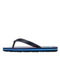 Boys Molokai Art 26 Flip Flops in Monaco Blue