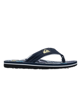Boys Molokai Layback 26 Flip Flops in Next Gen