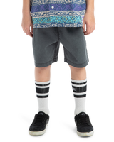 The Quiksilver Boys Boys Taxer Global Heat Walkshorts in Dark Shadow