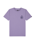 The Quiksilver Boys Boys Street Echo T-Shirt in Daybreak
