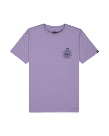 The Quiksilver Boys Boys Street Echo T-Shirt in Daybreak