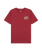 The Quiksilver Boys Boys Cosmic T-Shirt in Burnt Russet
