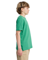 The Quiksilver Boys Boys Heritage T-Shirt in Leprechaun