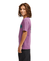 The Quiksilver Boys Boys Duality T-Shirt in Grape Jam