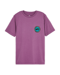 The Quiksilver Boys Boys Duality T-Shirt in Grape Jam