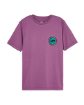 The Quiksilver Boys Boys Duality T-Shirt in Grape Jam