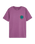 The Quiksilver Boys Boys Duality T-Shirt in Grape Jam