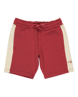 Boys Knowledge Aera Joggers Shorts in Burnt Russet