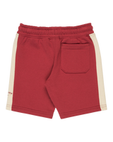 Boys Knowledge Aera Joggers Shorts in Burnt Russet