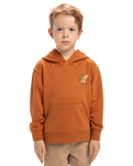 The Quiksilver Boys Boys Rainmaker Hoodie in Bran