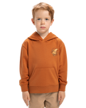 The Quiksilver Boys Boys Rainmaker Hoodie in Bran