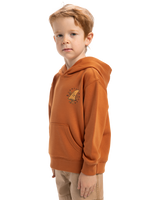 The Quiksilver Boys Boys Rainmaker Hoodie in Bran