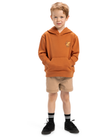 The Quiksilver Boys Boys Rainmaker Hoodie in Bran