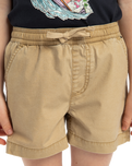 The Quiksilver Boys Boys Taxer Walkshorts in Khaki