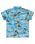The Quiksilver Boys Boys Safe Paradise Shirt in Blue Naturama