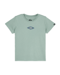 The Quiksilver Boys Boys Lantern T-Shirt in Iceberg Green
