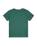 The Quiksilver Boys Boys MTB & Wave T-Shirt in Forest