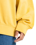 The Quiksilver  Womens Essential Sweatshirt in Rattan