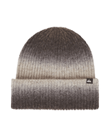 The Quiksilver Womens The Gradient Beanie in Java