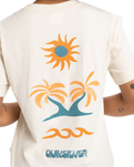 The Quiksilver Womens Collection Womens Standard T-Shirt in Birch