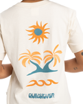 The Quiksilver Womens Collection Womens Standard T-Shirt in Birch