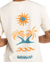 The Quiksilver Womens Collection Womens Standard T-Shirt in Birch