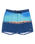 The Quiksilver Mens Everyday Half Jam Boardshorts in Nebulas Blue Wordblock
