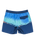 The Quiksilver Mens Everyday Half Jam Boardshorts in Nebulas Blue Wordblock