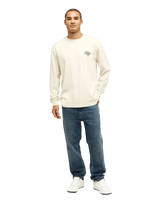 The Quiksilver Mens Straight Denim Jeans in Stone Dirty