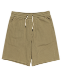 The Quiksilver Mens Salt Water Fleece Shorts in Aloe